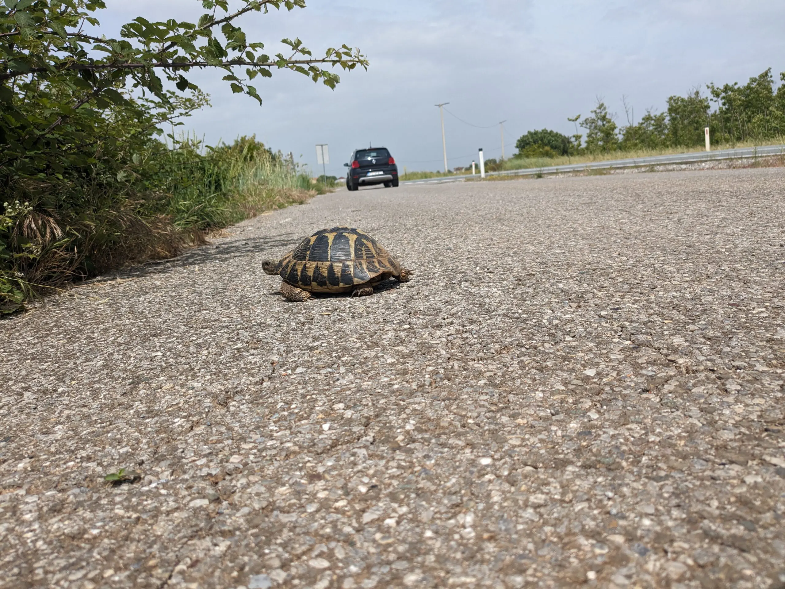 Bikkels on Bikes - fietsen door Albanië 2