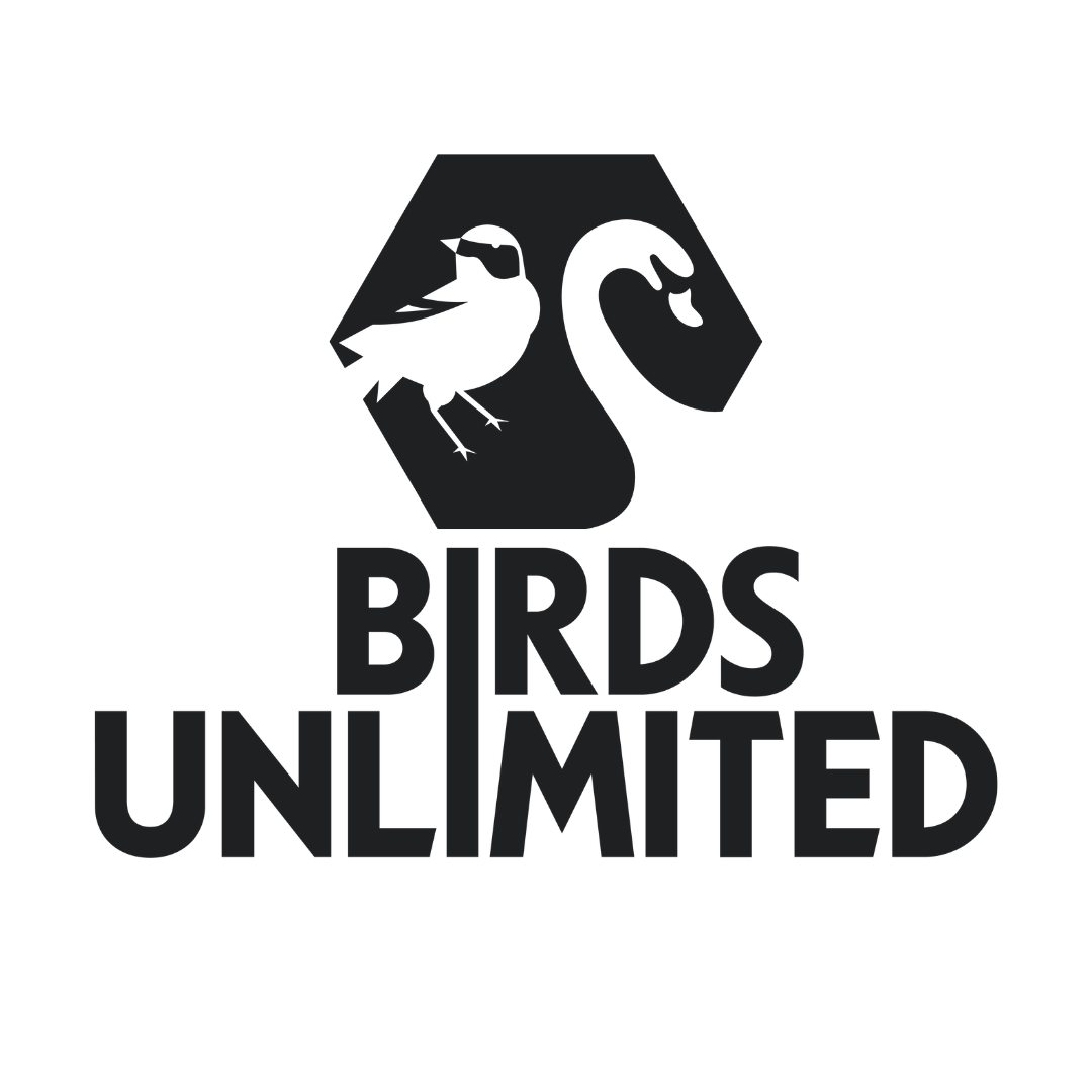 Logo Birds Unlimited - Swaan Hoogeveen