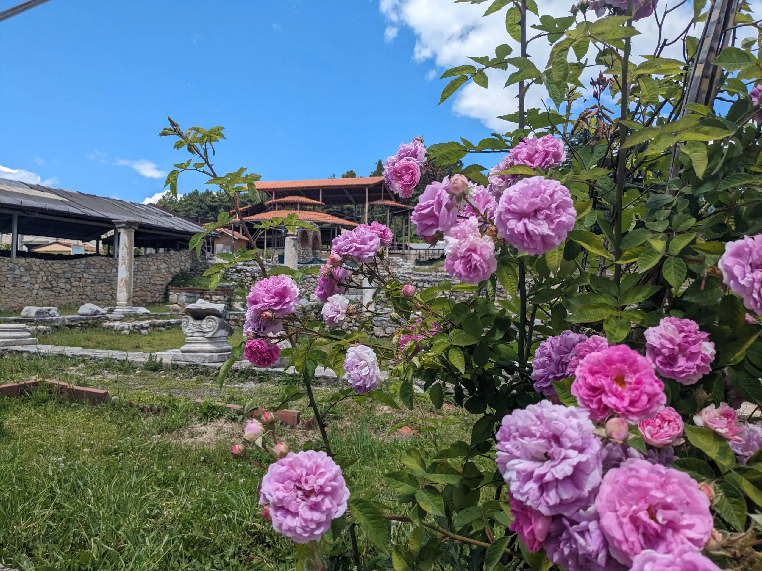 Bikkels on Bikes in Noord Macedonië 3
