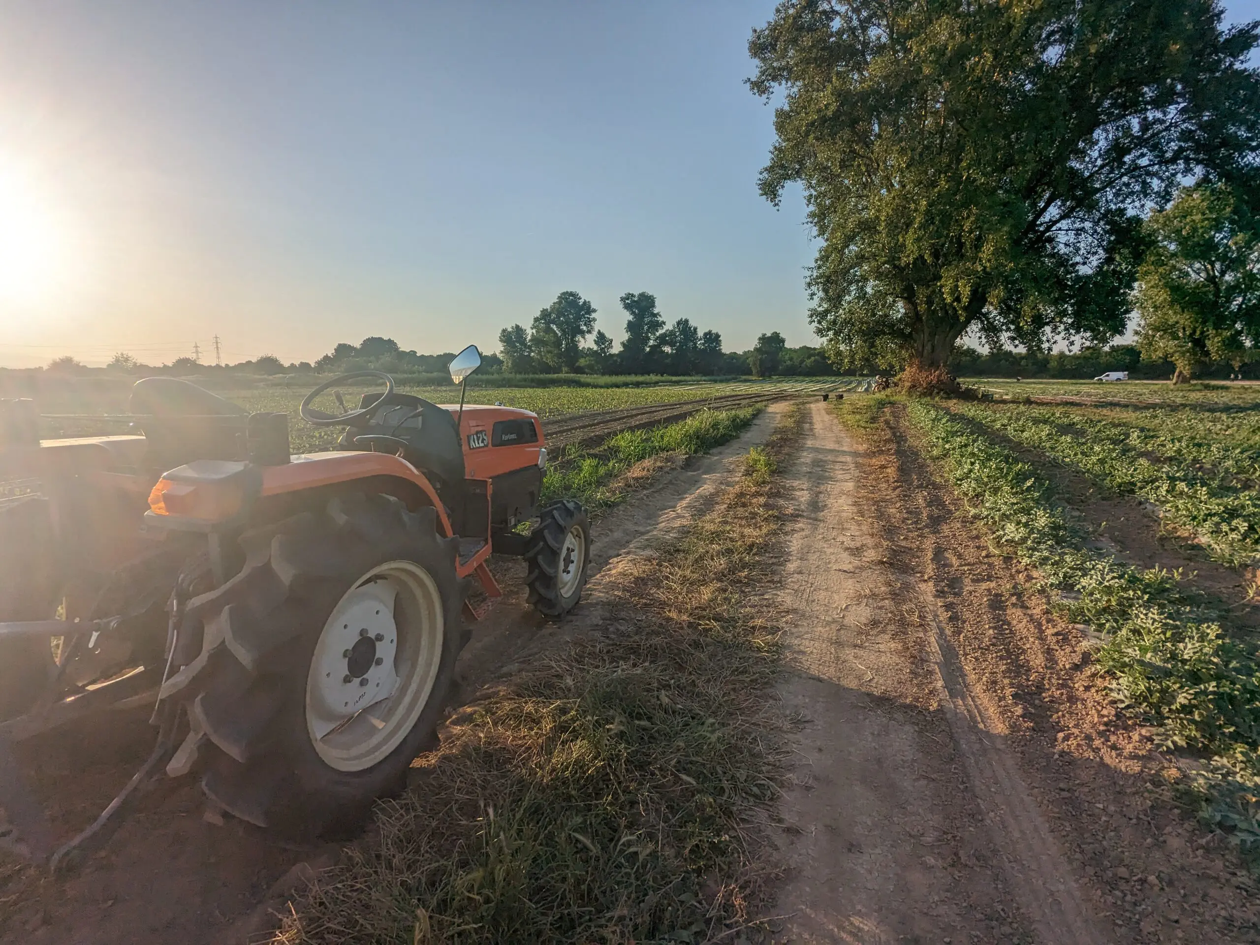 Bikkels on Bikes ontmoeten boeren in Bulgarije 1