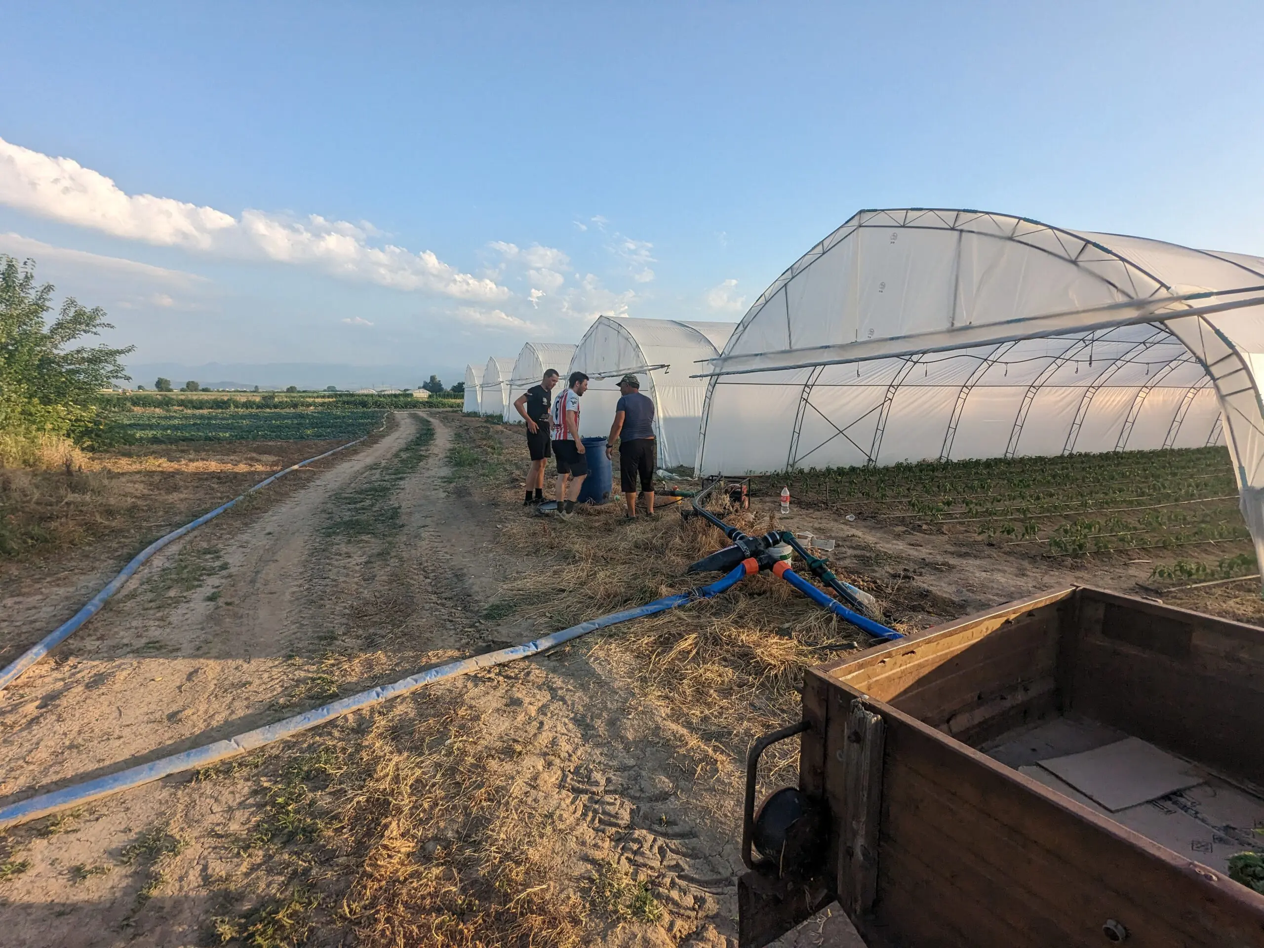 Bikkels on Bikes ontmoeten boeren in Bulgarije 2