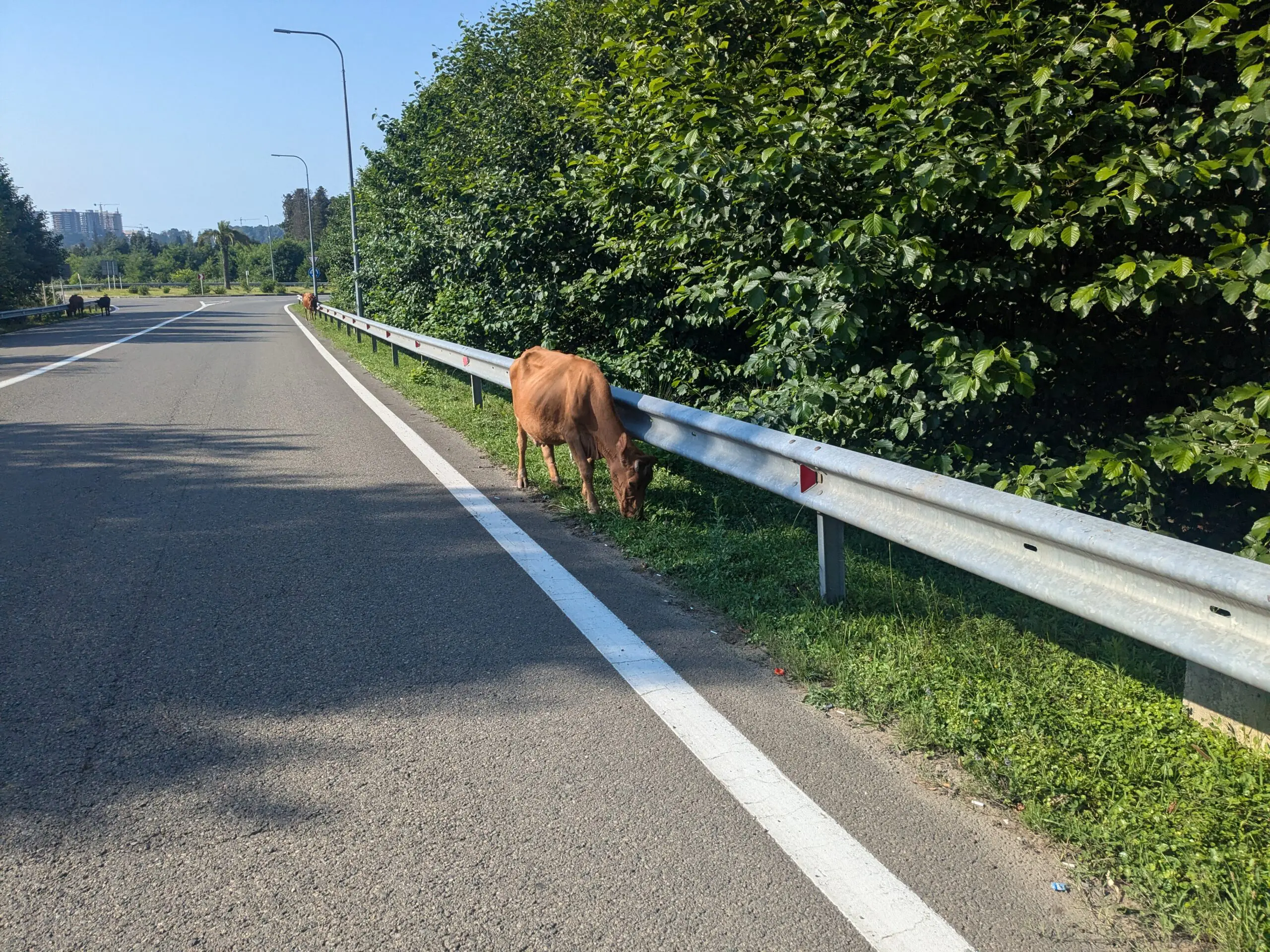 De eerste indrukken van Georgië