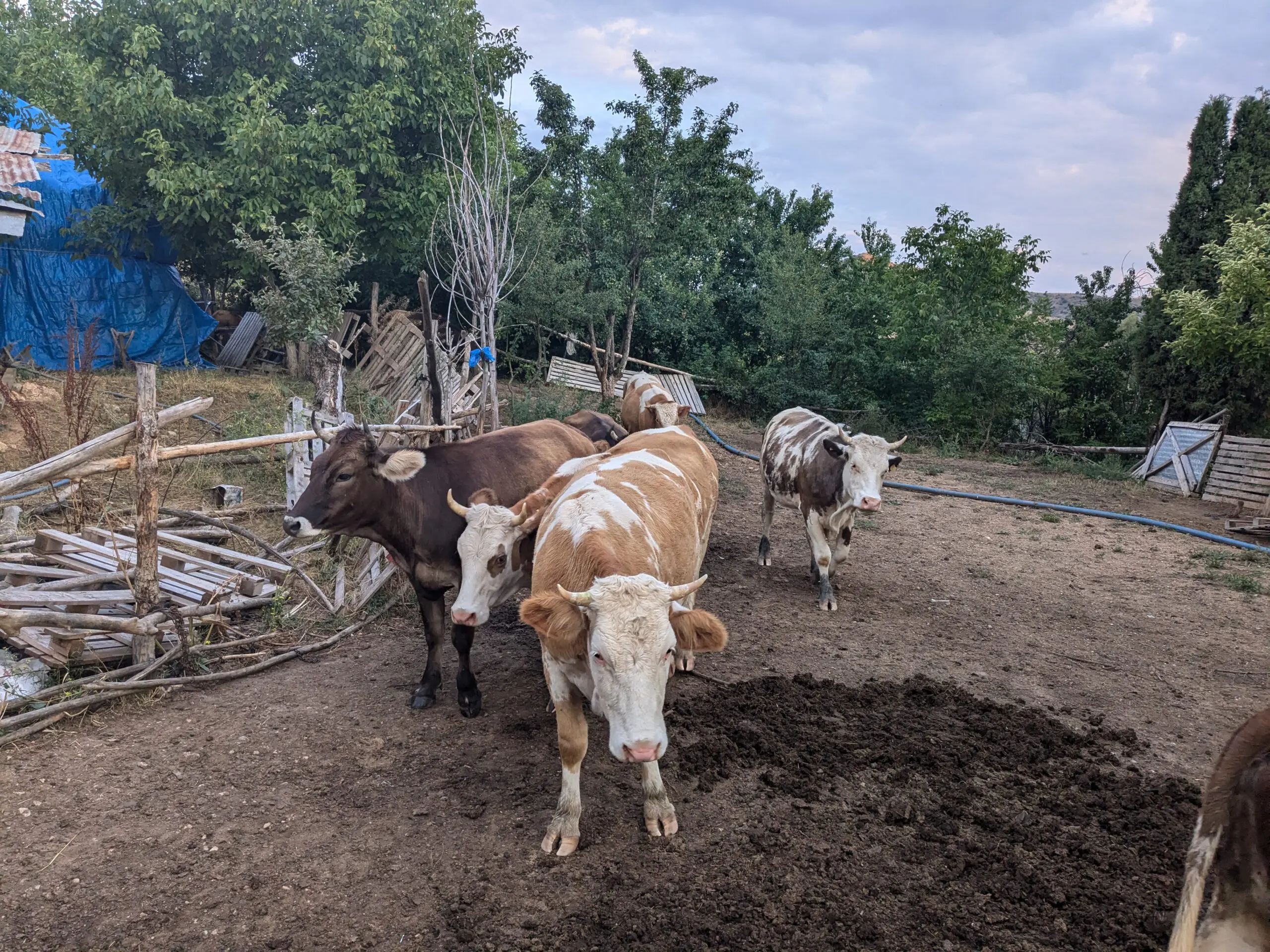 De gastvrijheid in Turkije met Bikkels on Bikes