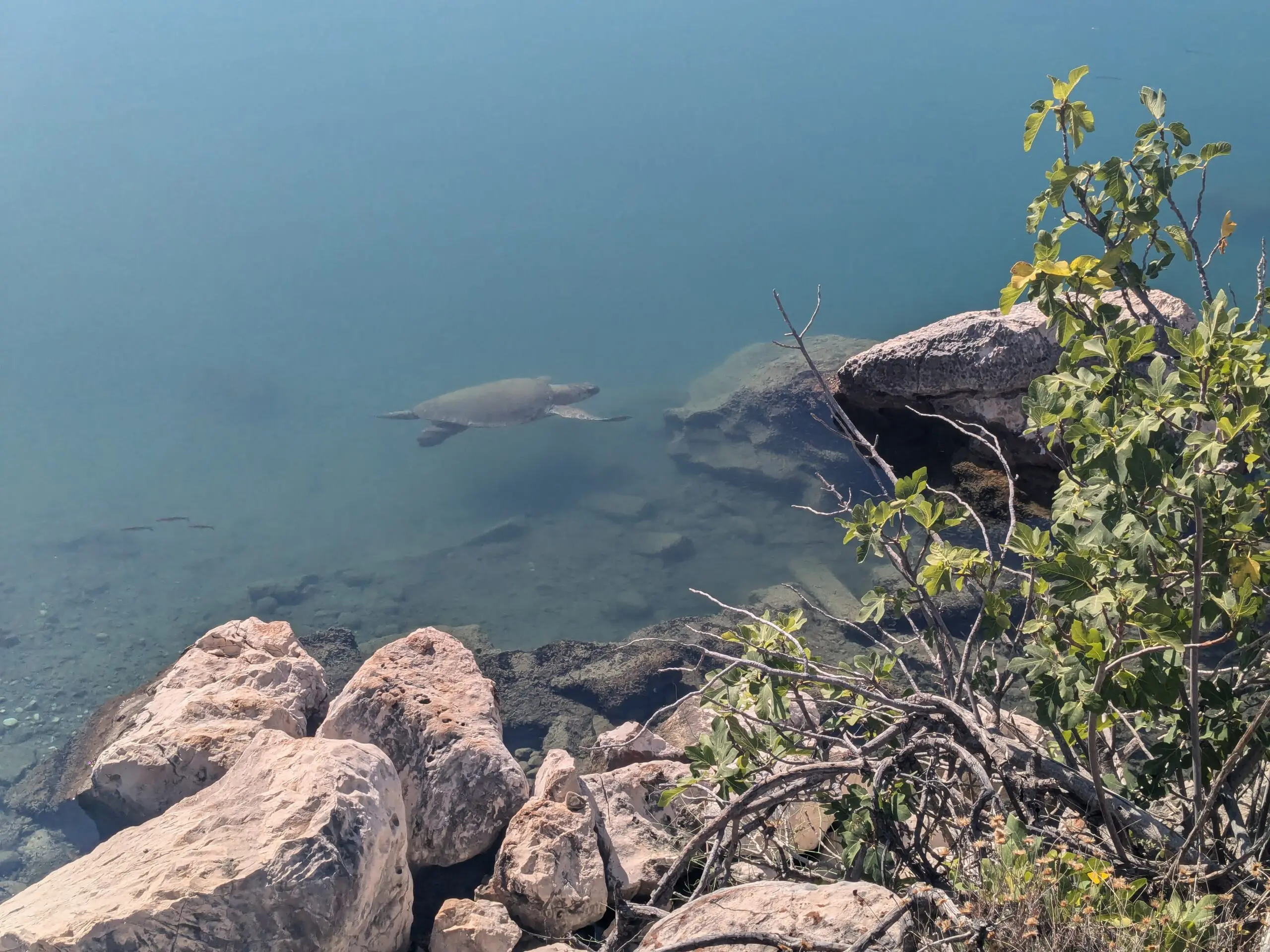 De kust van Turkije met Bikkels on Bikes - 7