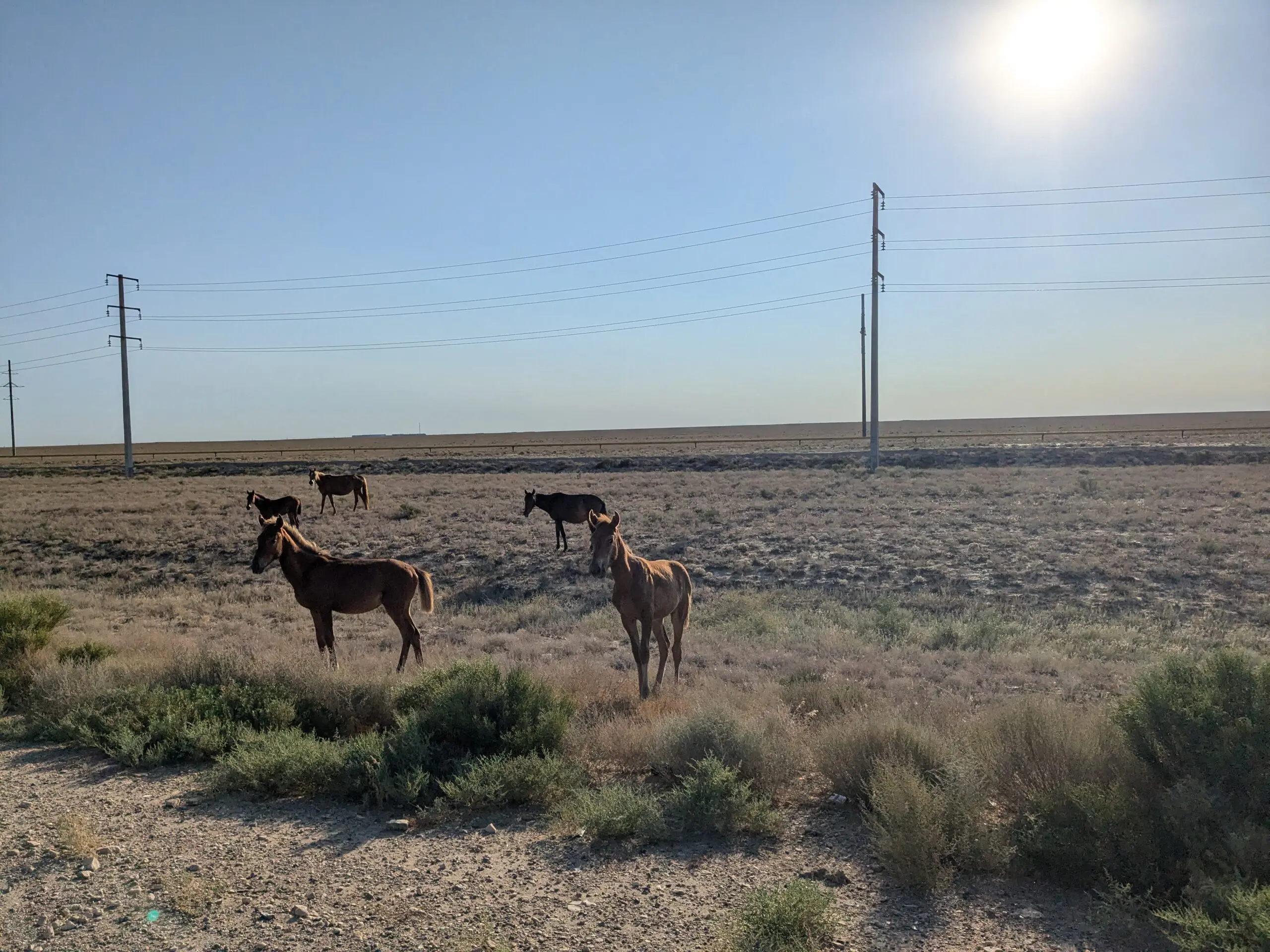 De leegte van Kazachstan ontdekken met Bikkels on Bikes
