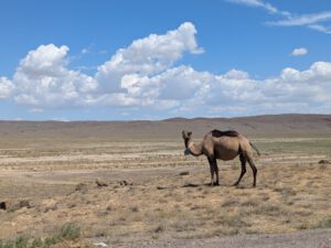 De leegte van Kazachstan ontdekken met Bikkels on Bikes