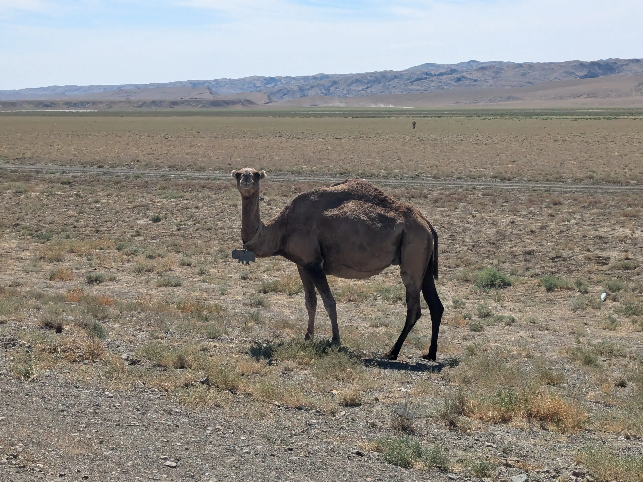 De leegte van Kazachstan ontdekken met Bikkels on Bikes