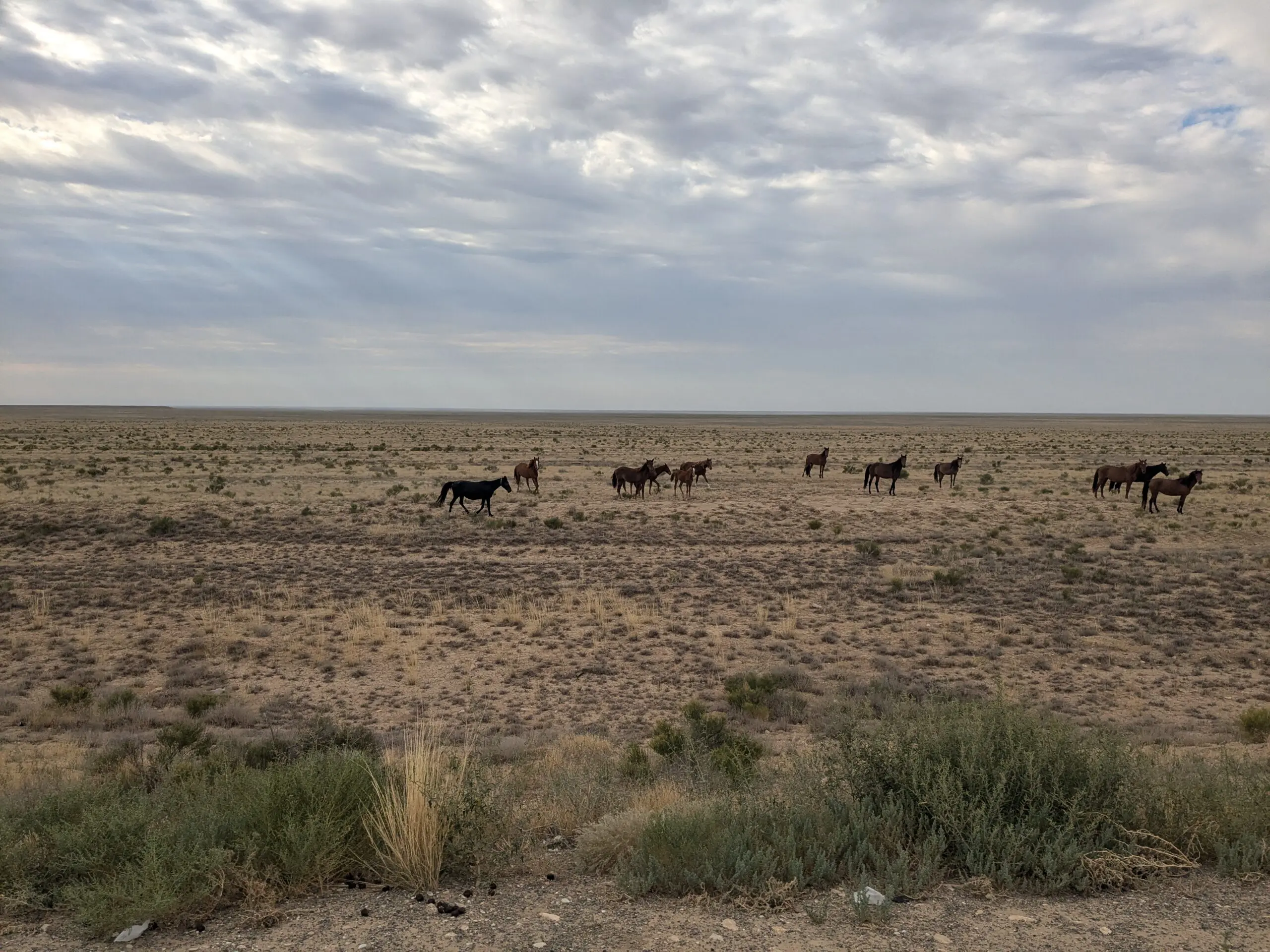 De leegte van Kazachstan ontdekken met Bikkels on Bikes