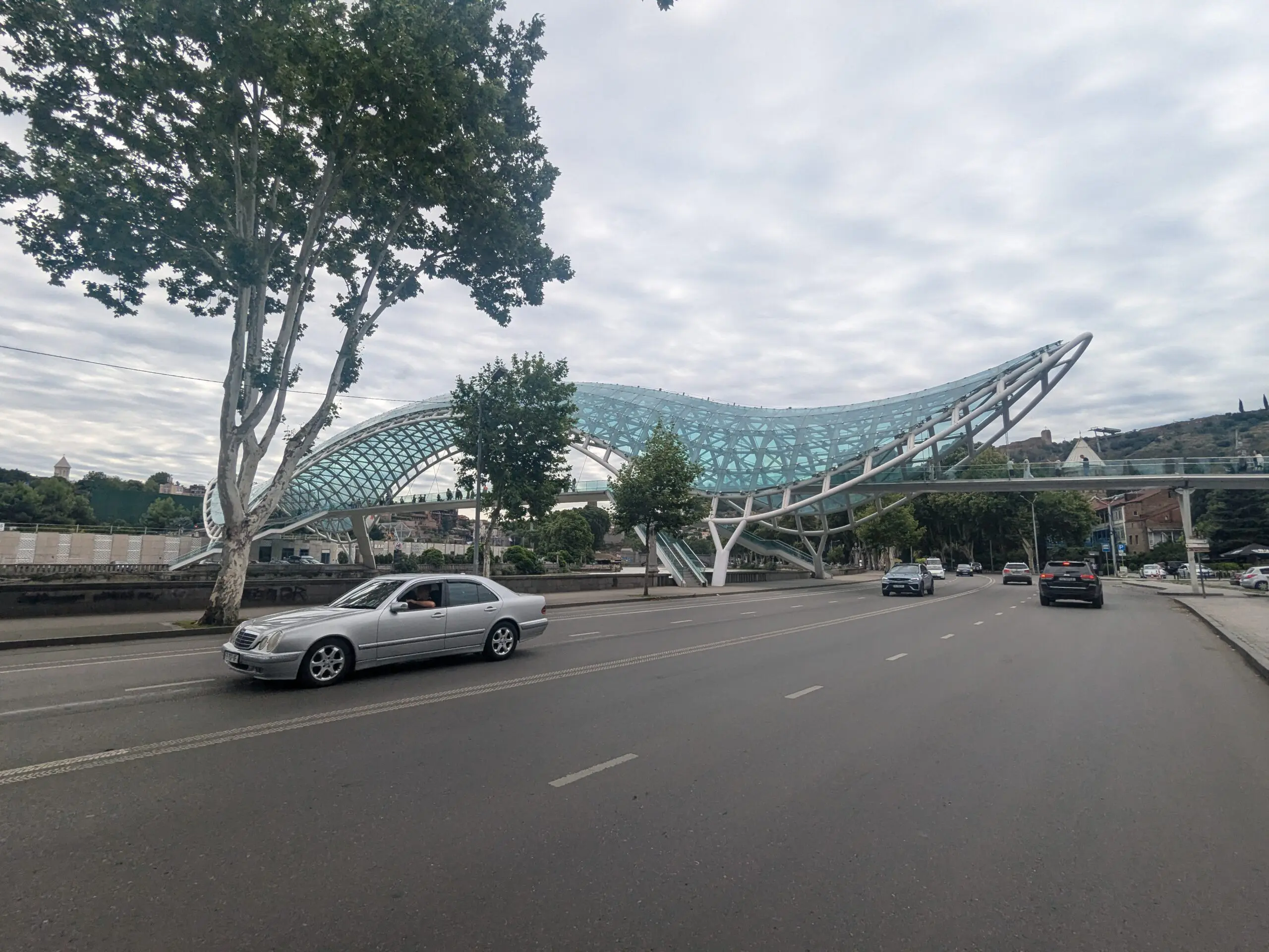 De vrienden weer zien in tiblisi