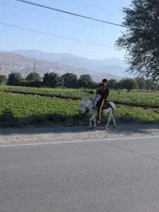 Bikkels on Bikes op de fiets door Tadzjikistan