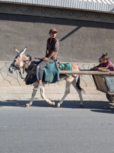 Bikkels on Bikes op de fiets door Tadzjikistan