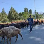 Bikkels on Bikes op de fiets door Tadzjikistan