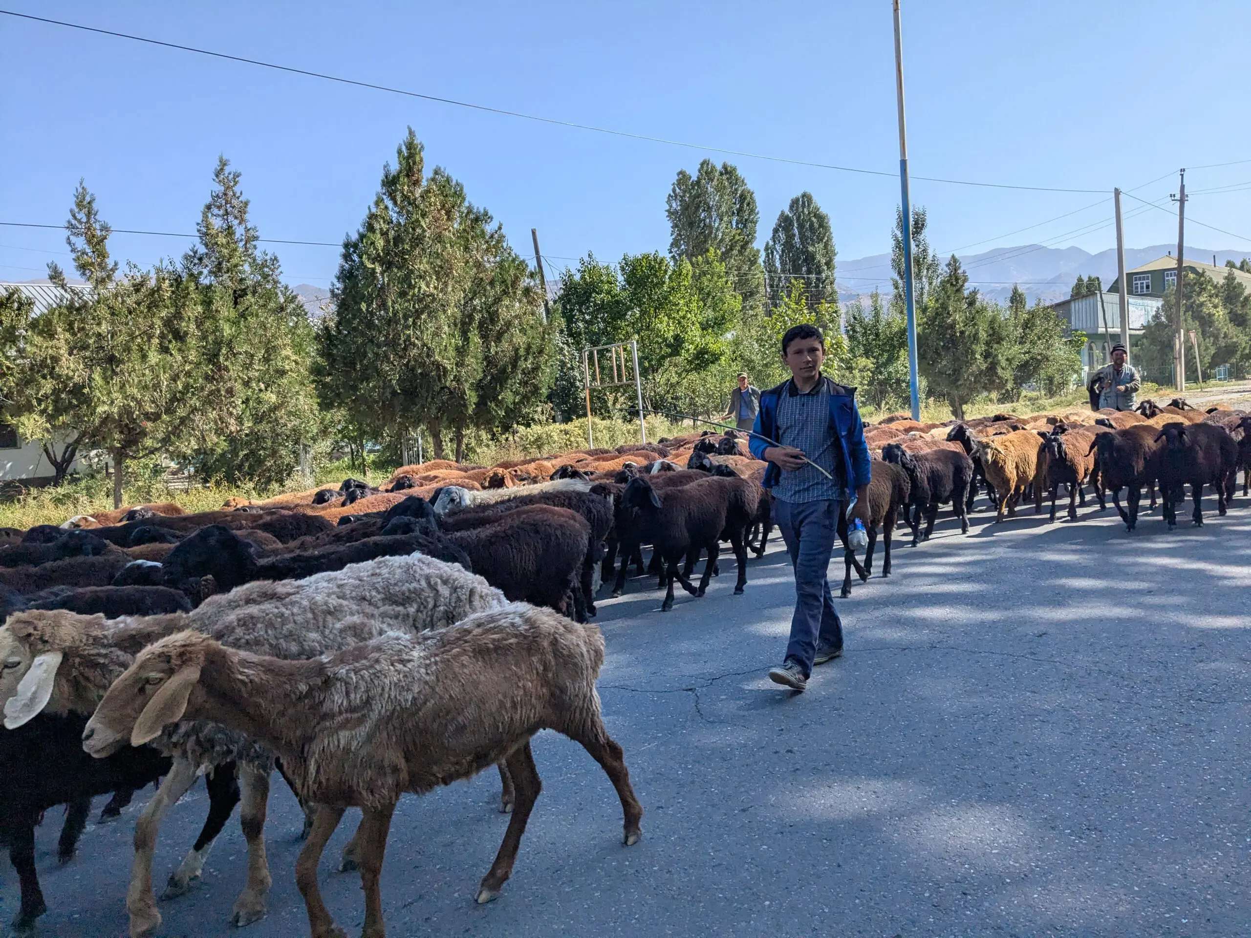 Bikkels on Bikes op de fiets door Tadzjikistan