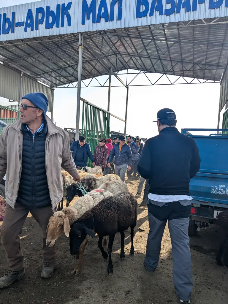 rust en hectiek in karakol met bikkels on bikes