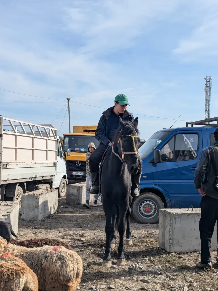 rust en hectiek in karakol met bikkels on bikes