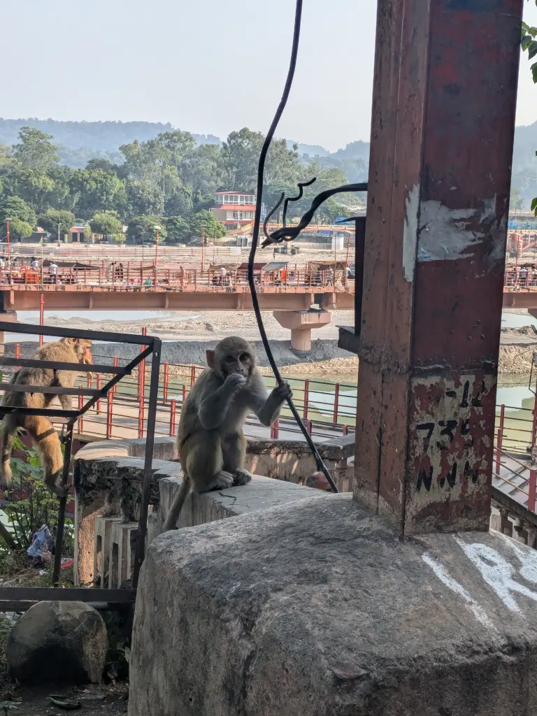 Rishikesh met bikkels on bikes