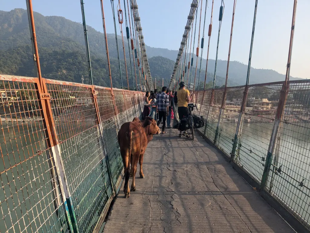 Rishikesh met bikkels on bikes