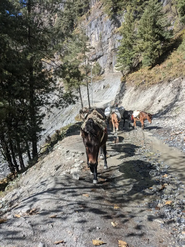 Starten aan het Annapurna circuit