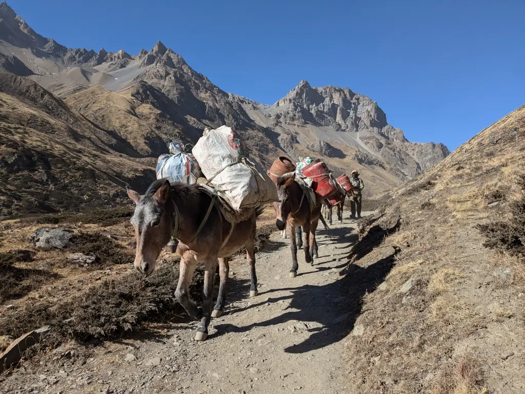 Toerisme op het Annapurna circuit met Bikkels on Bikes