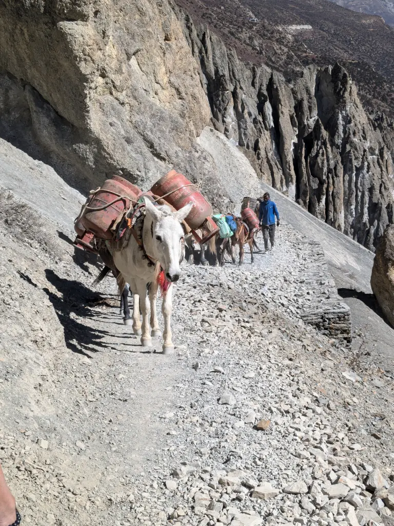 Toerisme op het Annapurna circuit met Bikkels on Bikes