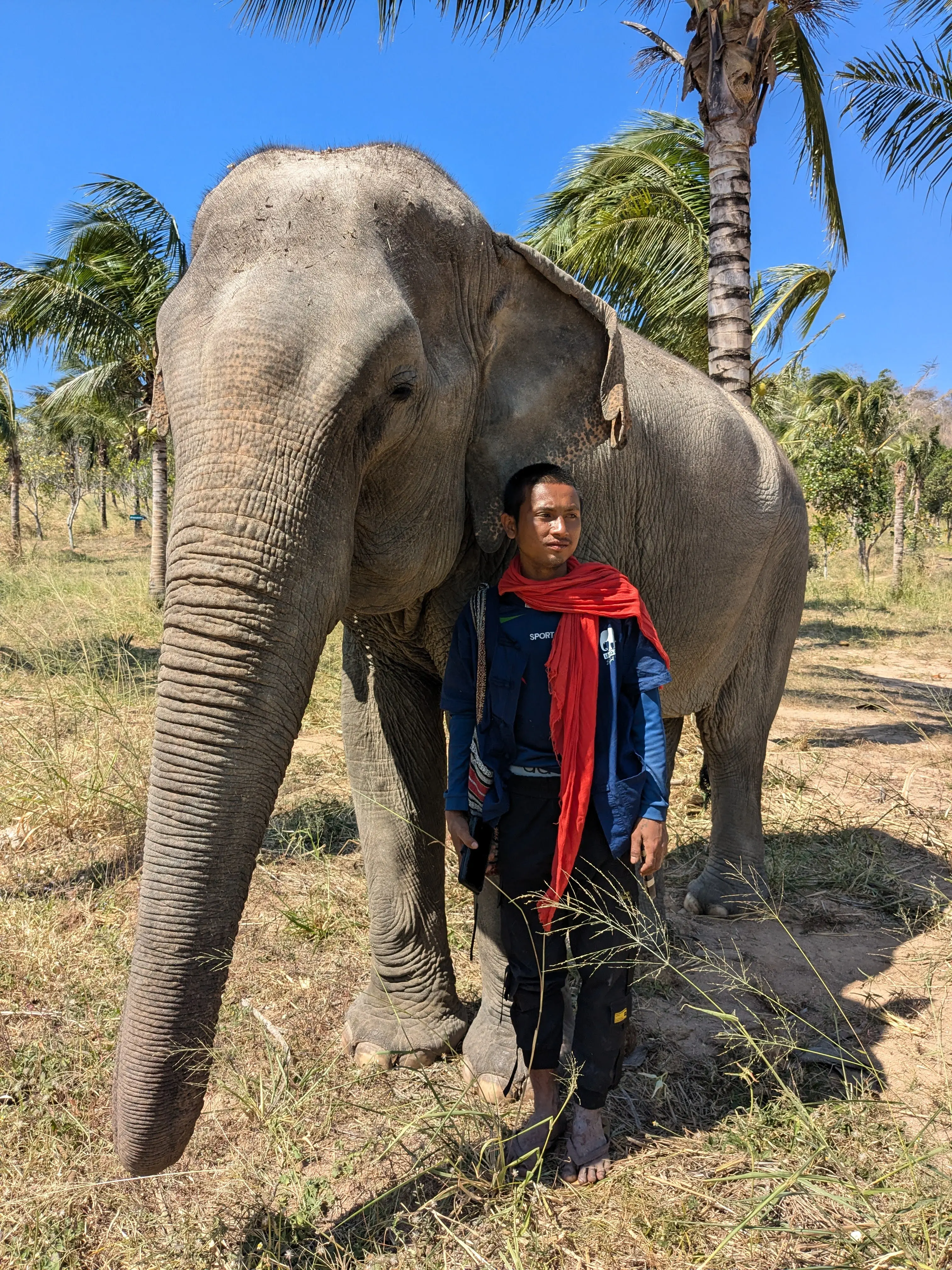 Olifantenopvang bezoeken in Thailand